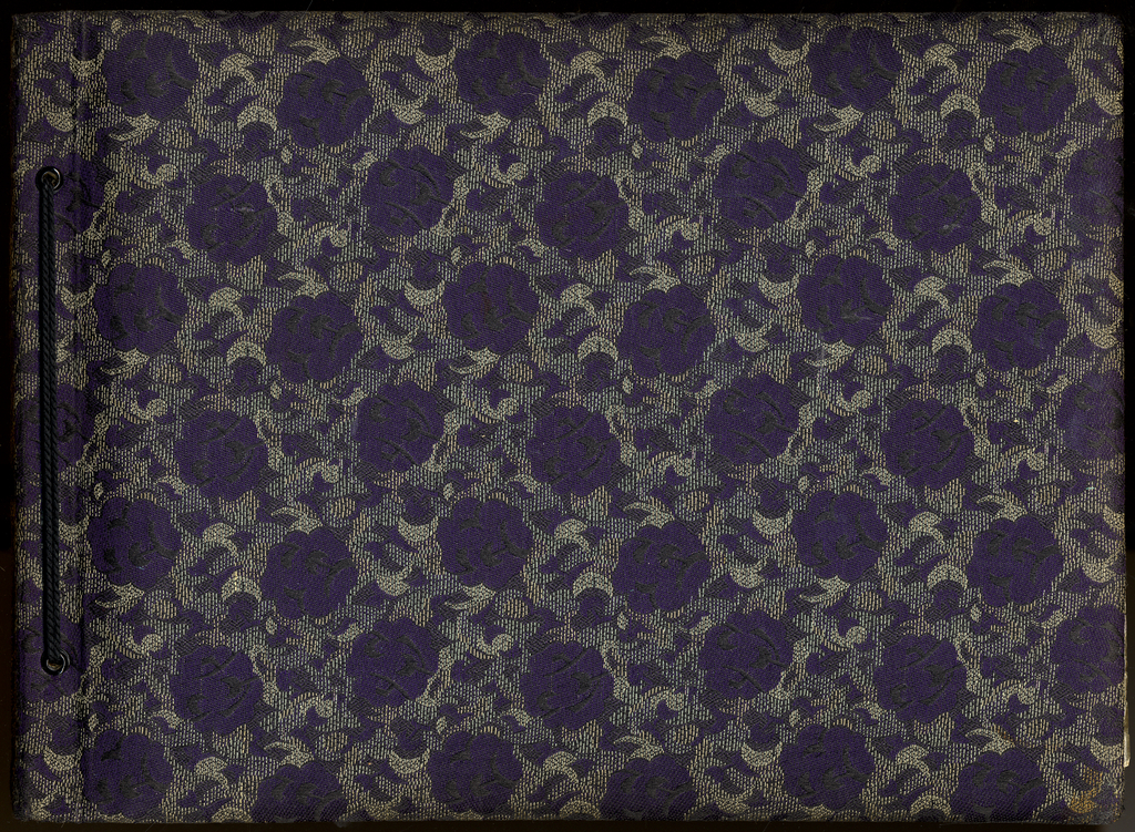 gaw044 0195 0001
