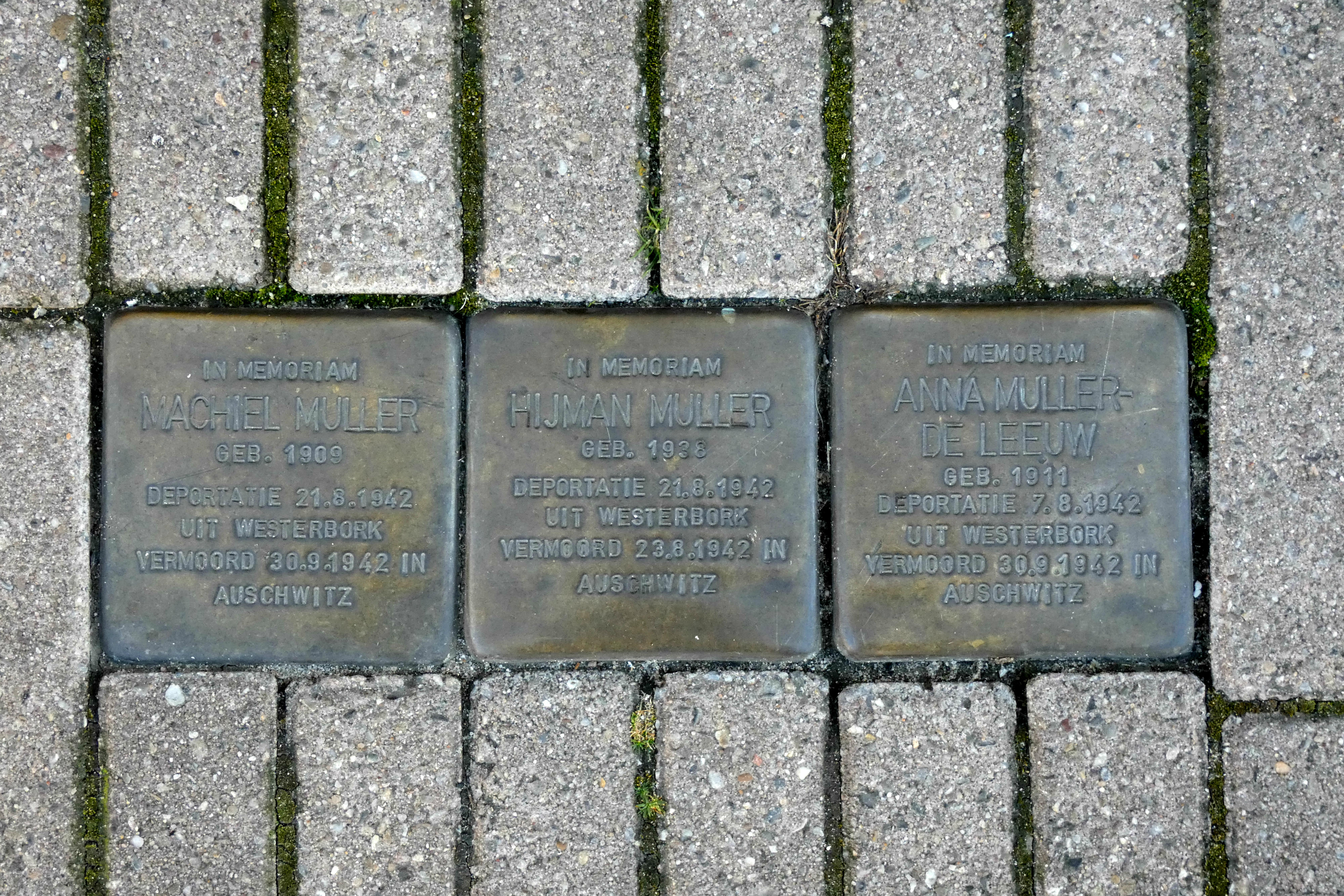 Stolpersteine-Weesp